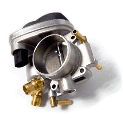 Throttle Body (7519310)