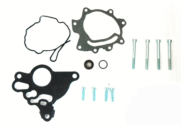 Repair Set, vacuum pump (braking system) (91110)