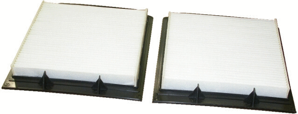 Filter, cabin air (17226F-X2)