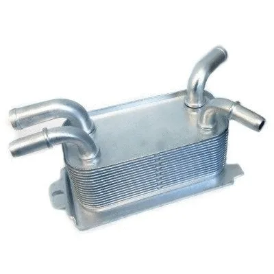 Oil Cooler, engine oil (8095039)