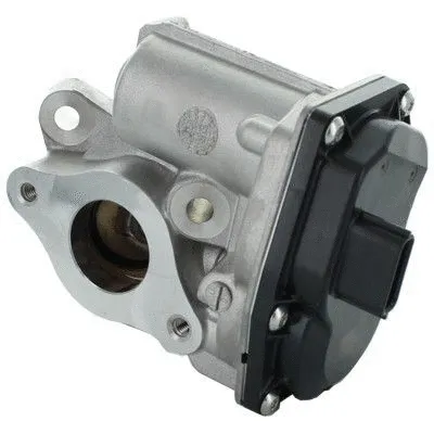 EGR Valve (7518399)