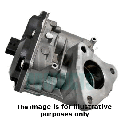 EGR Valve (7518490R)
