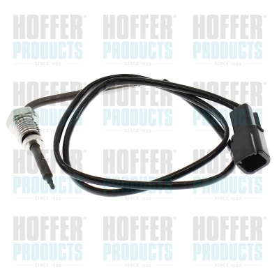 Sensor, exhaust gas temperature (7452745)