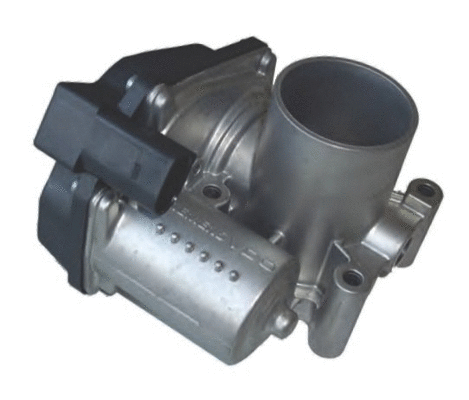 Throttle Body (7519049)