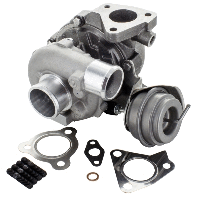Charger, charging (supercharged/turbocharged) (6900455)