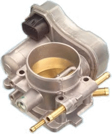 Throttle Body (7519033)