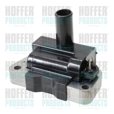 Ignition Coil (8010905)