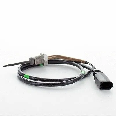 Sensor, exhaust gas temperature (7452389)