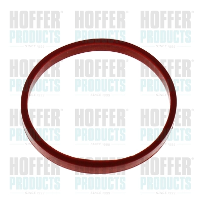 Gasket, intake manifold (016244)