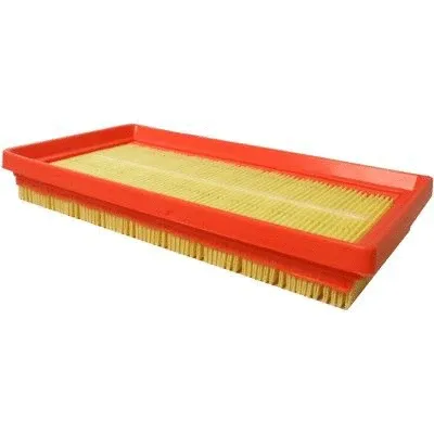 Air Filter (18438)