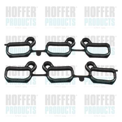 Gasket Set, intake manifold (016182)