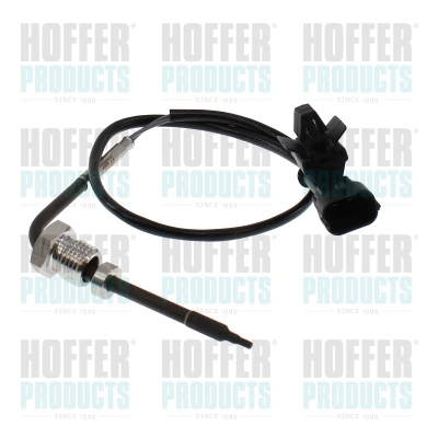Sensor, exhaust gas temperature (7452775)