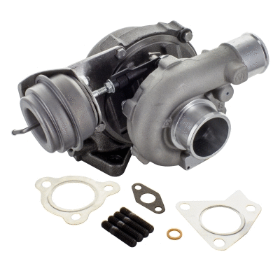 Charger, charging (supercharged/turbocharged) (6900548)