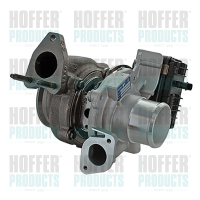 Charger, charging (supercharged/turbocharged) (69001232)