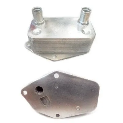 Oil Cooler, engine oil (8095030)