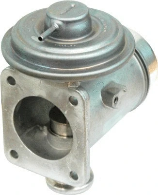 EGR Valve (7518194)