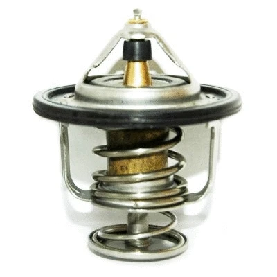 Thermostat, coolant (8192310)