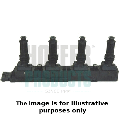 Ignition Coil (8010463E)
