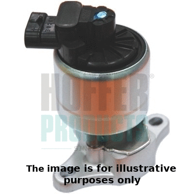 EGR Valve (7518049/1)