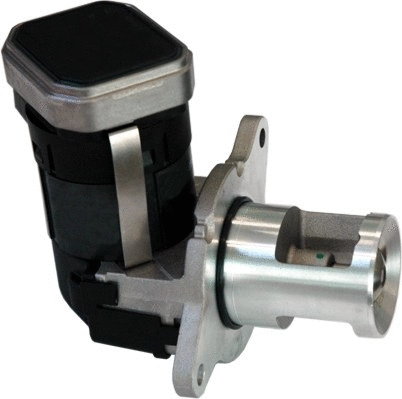 EGR Valve (7518153E)