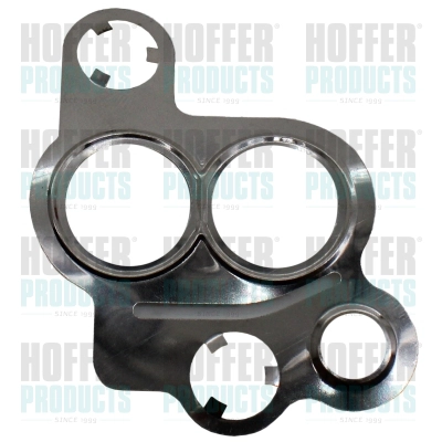 Gasket, EGR valve (016126)