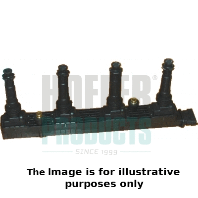 Ignition Coil (8010523E)