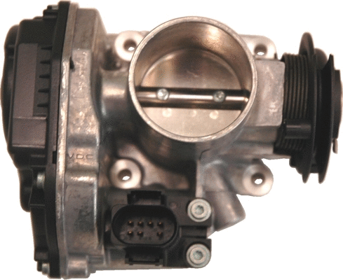 Throttle Body (7519021)
