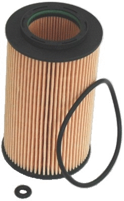 Oil Filter (14089)