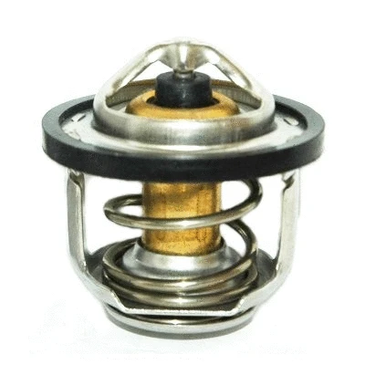 Thermostat, coolant (8192341)