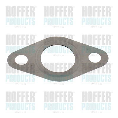 Gasket, EGR valve pipe (016167)