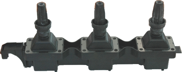 Ignition Coil (8010468)