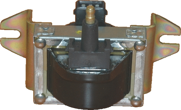 Ignition Coil (8010474)