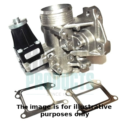 EGR Valve (7518252E)