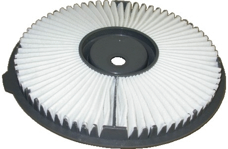 Air Filter (16289)