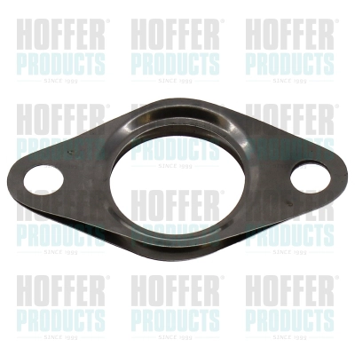 Gasket, EGR valve (016218)