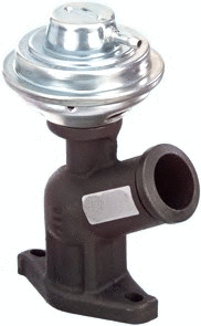 EGR Valve (7518107)