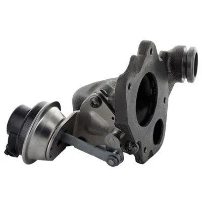 EGR Valve (7518400)