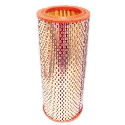 Air Filter (16450)
