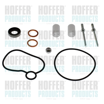 Repair Kit, fuel pump (98779)