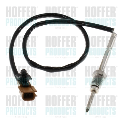 Sensor, exhaust gas temperature (7452185)