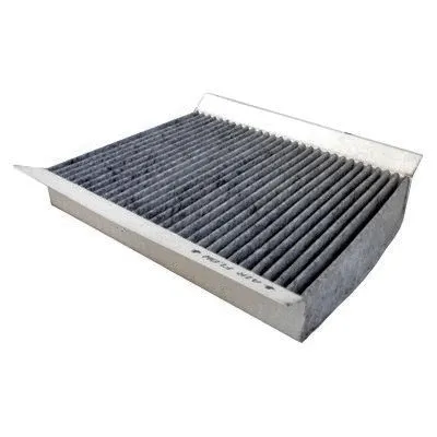 Filter, cabin air (17531K)
