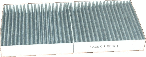 Filter, cabin air (17391K)