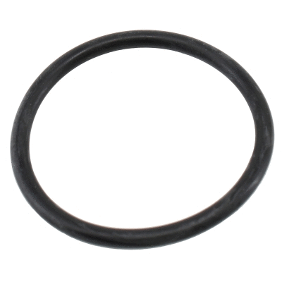 Seal, thermostat (01657)