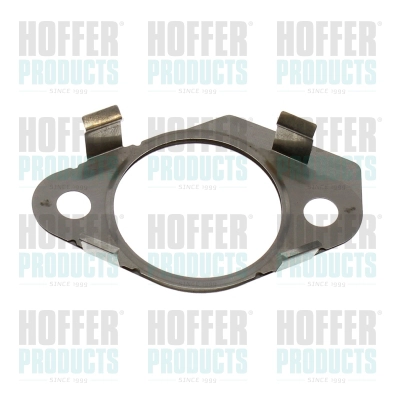 Gasket, EGR valve (016174)