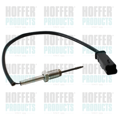 Sensor, exhaust gas temperature (7452284E)