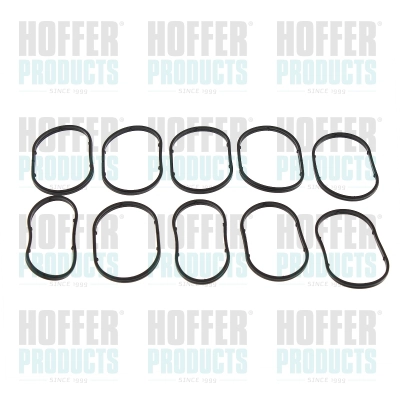 Seal Ring (80298687)