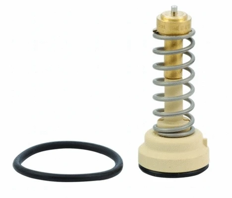 Thermostat, coolant (8192648)