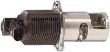 EGR Valve (7518013R)