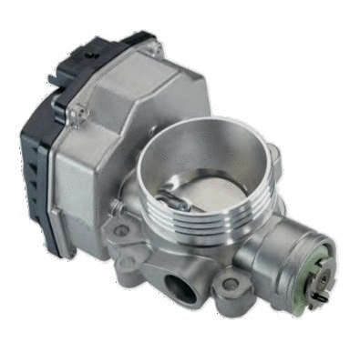 Throttle Body (7519045)