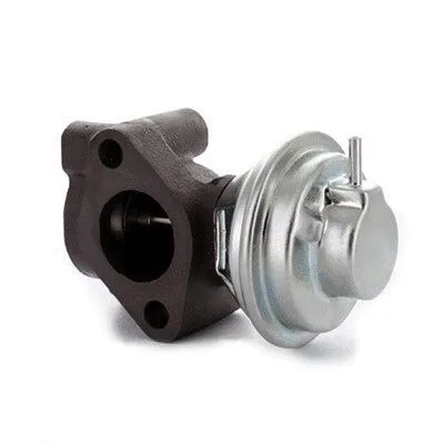 EGR Valve (7518394)